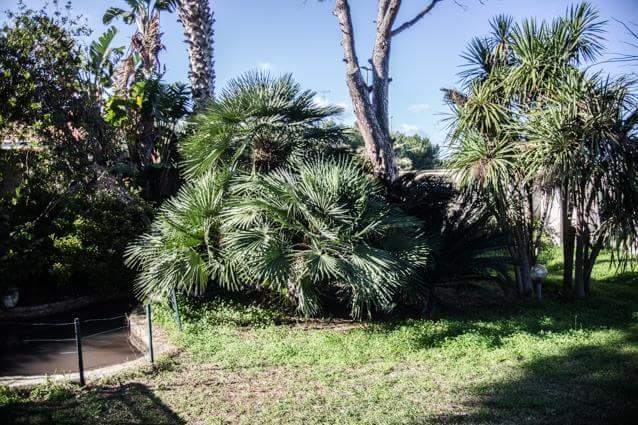 Casina Delle Arti Bed and Breakfast San Cataldo  Buitenkant foto